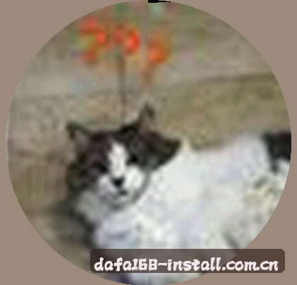吴涛